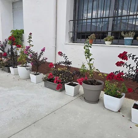 호텔 Aleks Shkodër