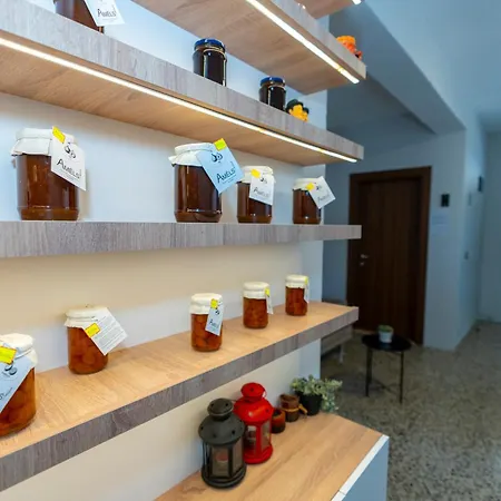 Aleks Hotel 3*