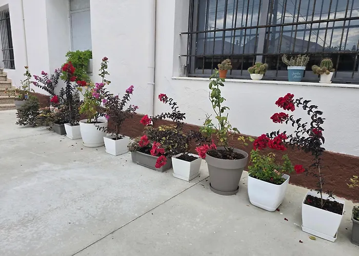 호텔 Aleks Shkodër